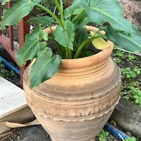 D&a Bed & Breakfast 3*